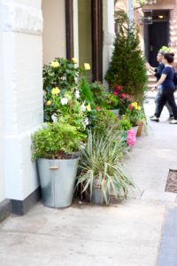 new york city flowers in soho | Audrey Madison Stowe Blog
