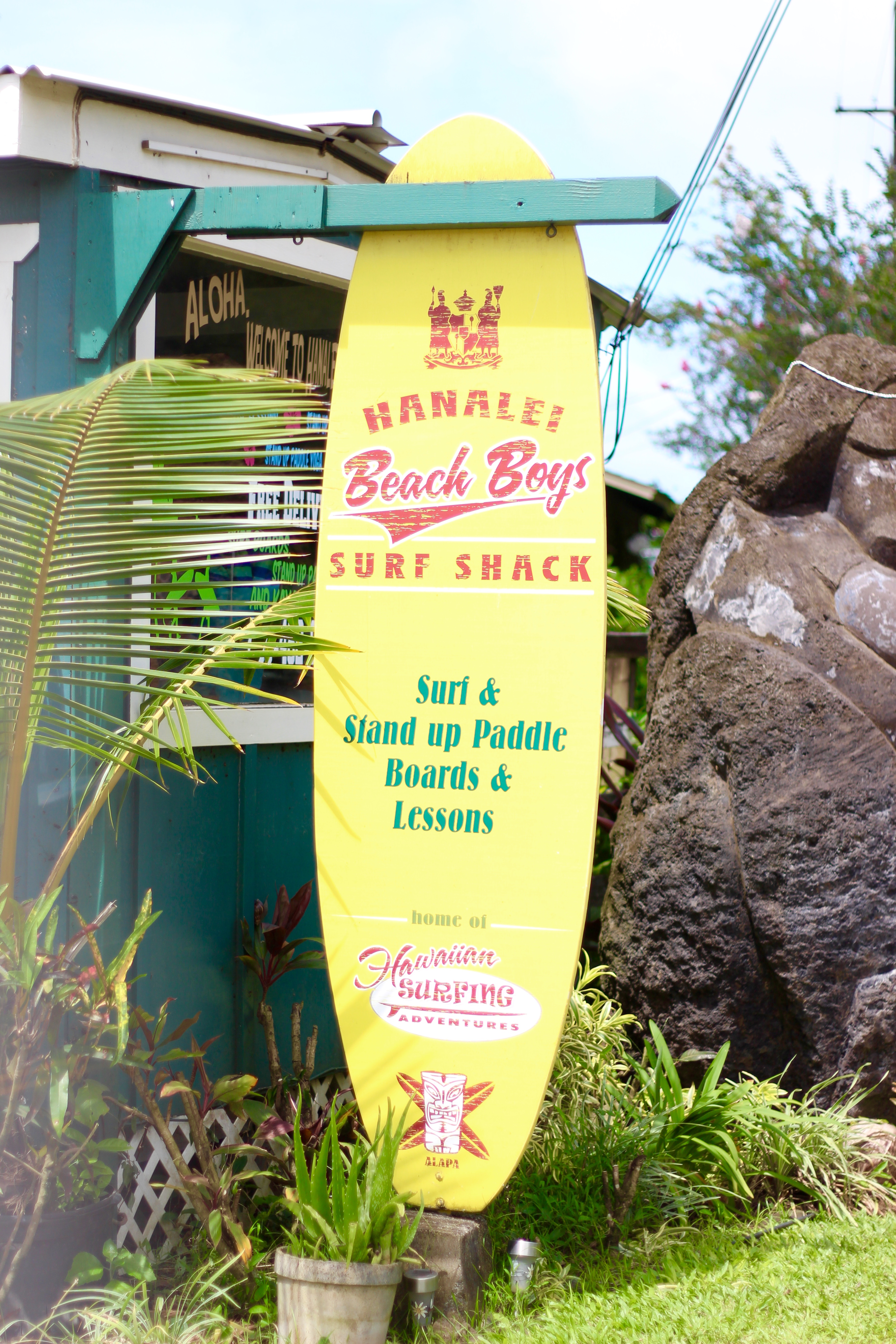 surf boards in hawaii | AMS Blog