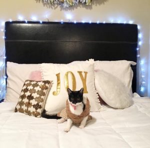 winter bedroom | AMS Blog