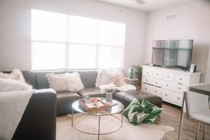 Living Room Reveal | Apartment Living | Chic Apartment Style | Audrey Madison Stowe a fashion and lifestyle blogger