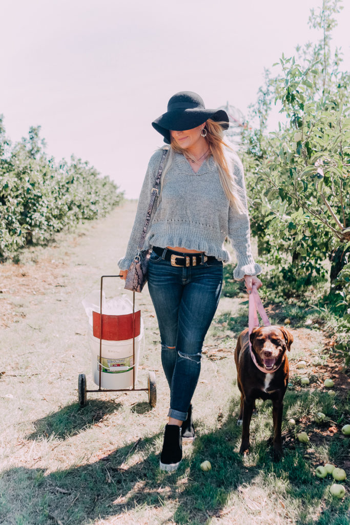 Apple Orchards With Steve Madden Outfit | #GenSteve| Family Day | featured by popular Texas fashion blogger Audrey Madison Stowe