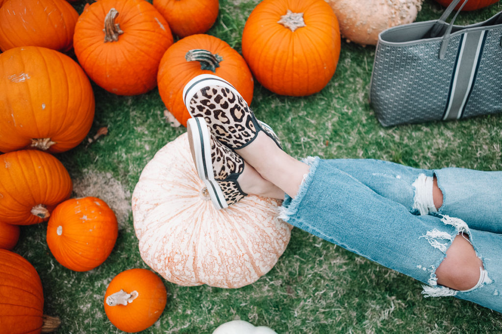 10 Cozy Fall Sweaters To Add To Your Wardrobe | Audrey Madison Stowe a fashion and lifestyle blogger | Pumpkin Patch and cute sweater