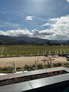 HALL Wines | Wineries to visit in Napa