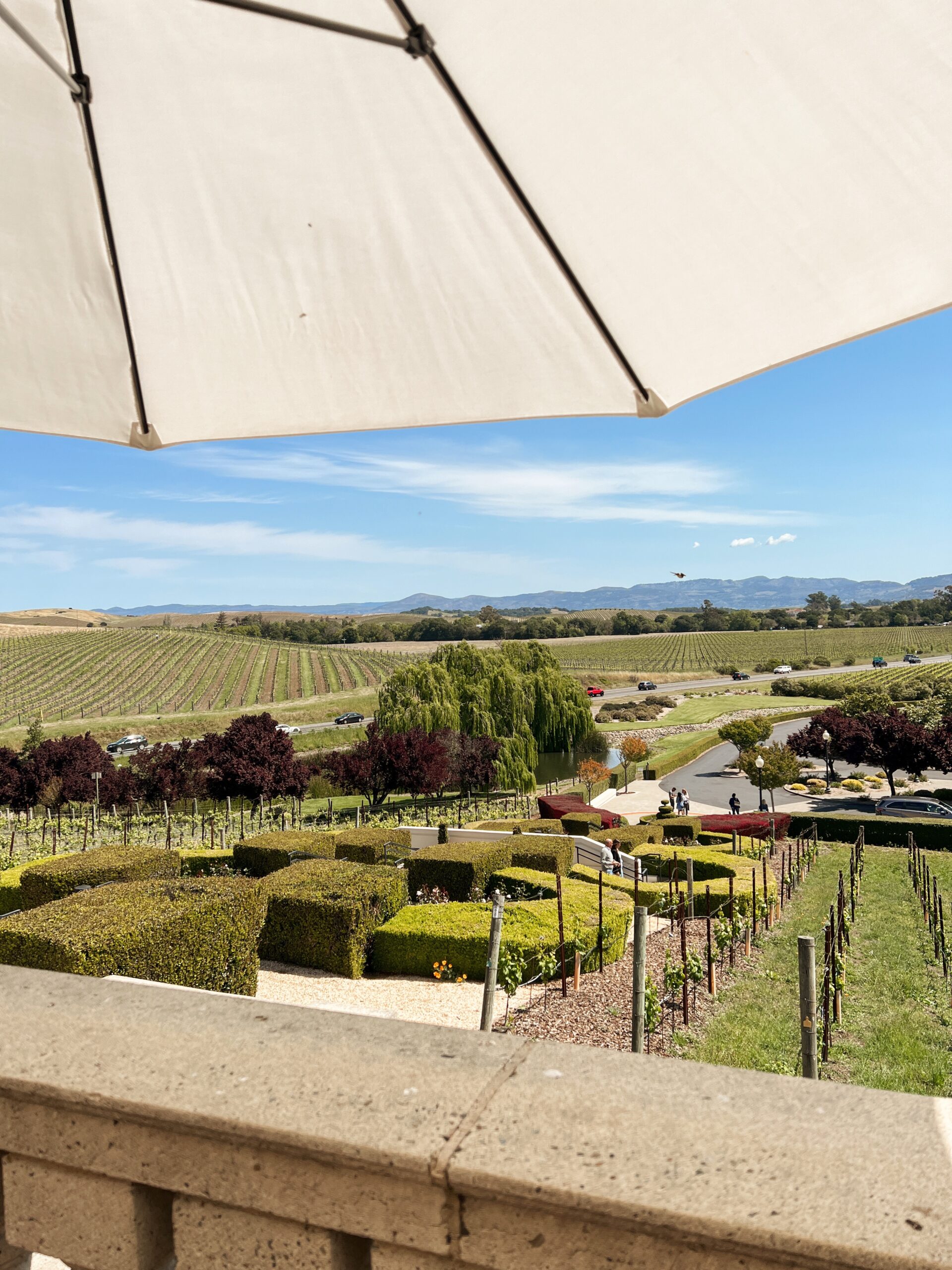 Domaine Carneros | Where to get Champagne in Napa | Audrey Madison Stowe a Texas blogger