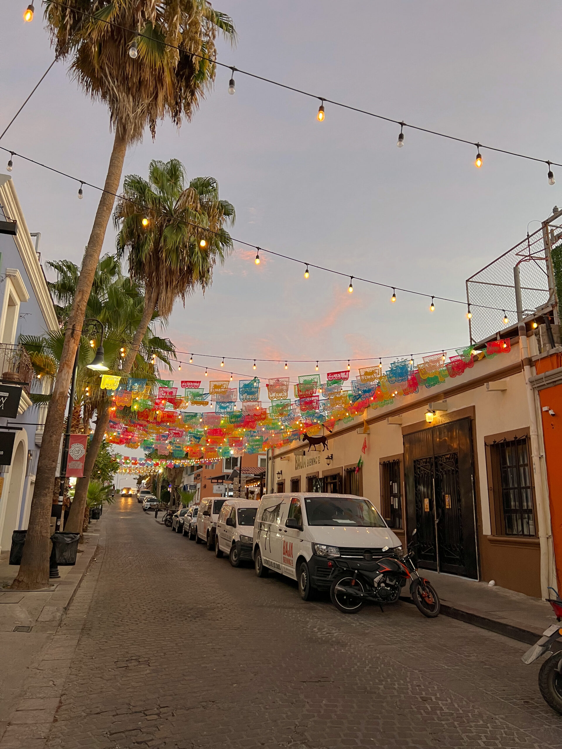 San Josè Del Cabo | Where to Eat