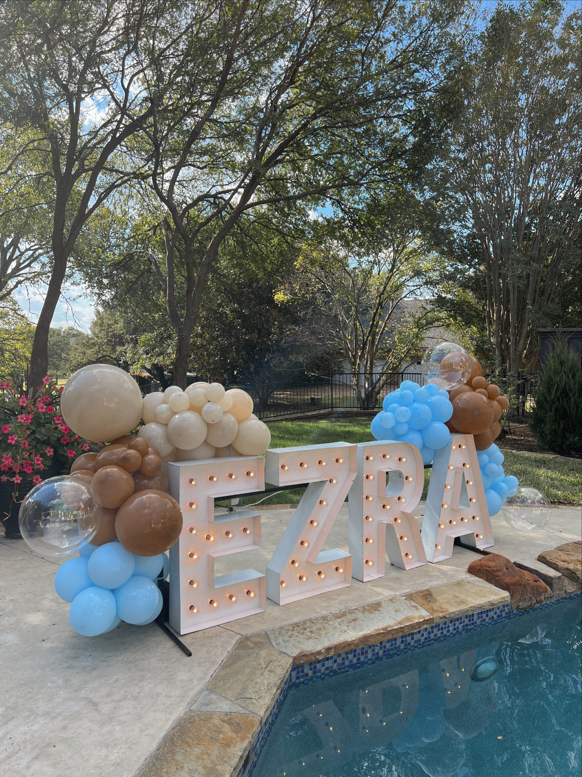 Baby Name Reveal at Baby Shower | Alpha-lit